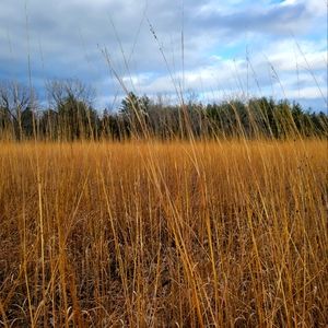 Meet your Posher, Ly.